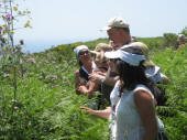 Trekking ischia per gruppi