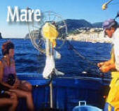 Ischia a bordo con i pescatori