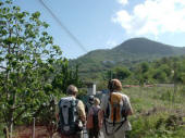 Trekking Ischia Piano Liguori