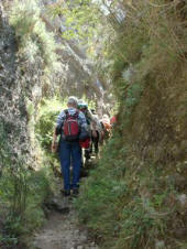 Ischia Trekking Piano Liguori