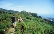 week end Ischia