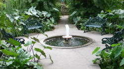 La Mortella fontana