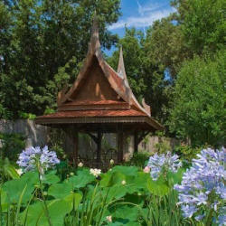 Giardini La Mortella Sala Thai