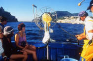 pesca turismo ischia